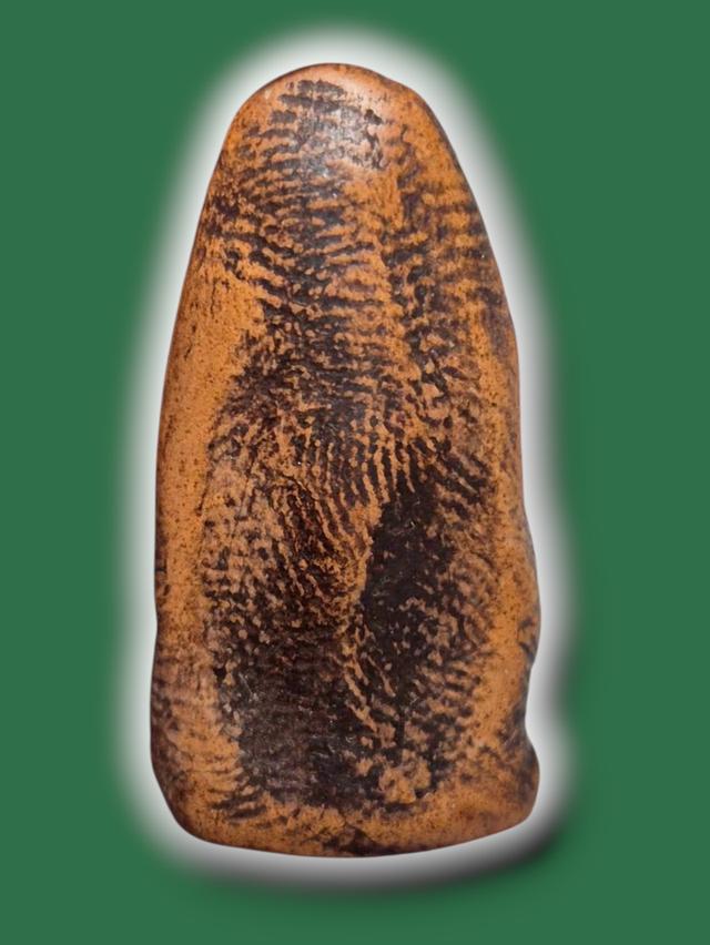 💢ขออนุญาตคะ เปิดจ้าราคาหลักร้อย สนใจทักข้อความได้เลยน๊าาา 🙏🏻♥️ รูปที่ 2