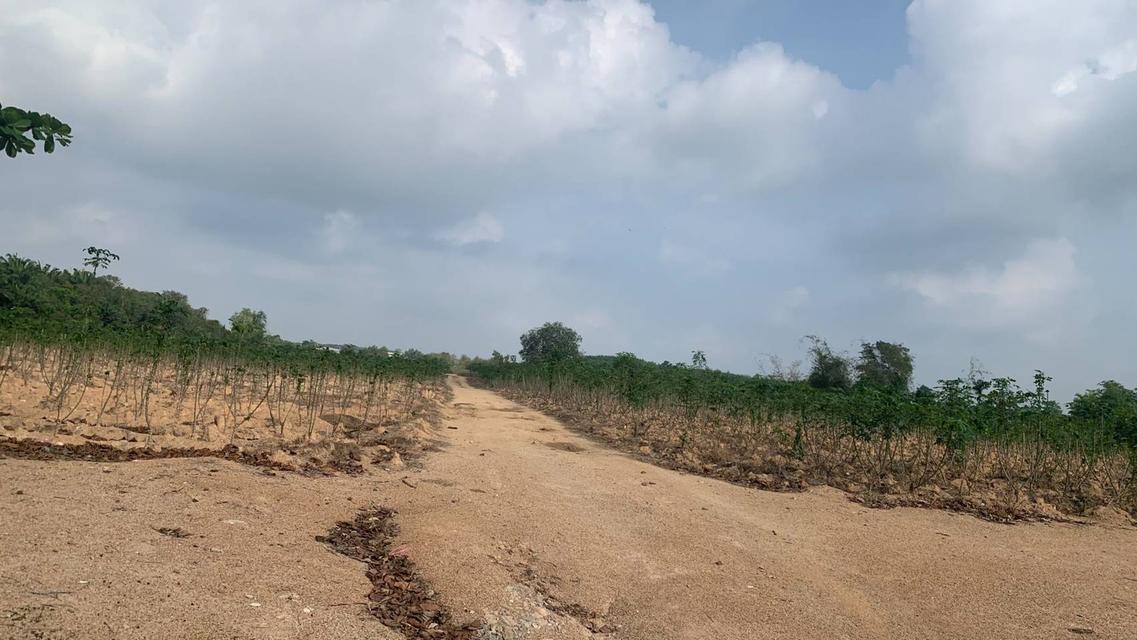 Land for Sale – Pluak Daeng, Rayong, Thailand 1