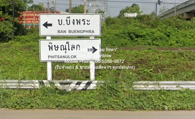 ขายที่ดินเปล่าถมแล้ว บึงพระ จ.พิษณุโลก ติดถนนเลี่ยงเมืองพิษณุโลก 8-3-83 ไร่ ราคา 25 ล้านบาท 1