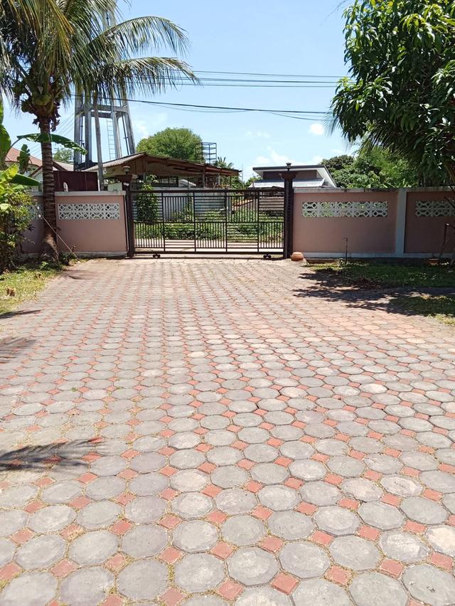 (ขายถูก)บ้าน 3 หลัง พร้อมที่ดิน อ.ดอยสะเก็ด เชียงใหม่ 14