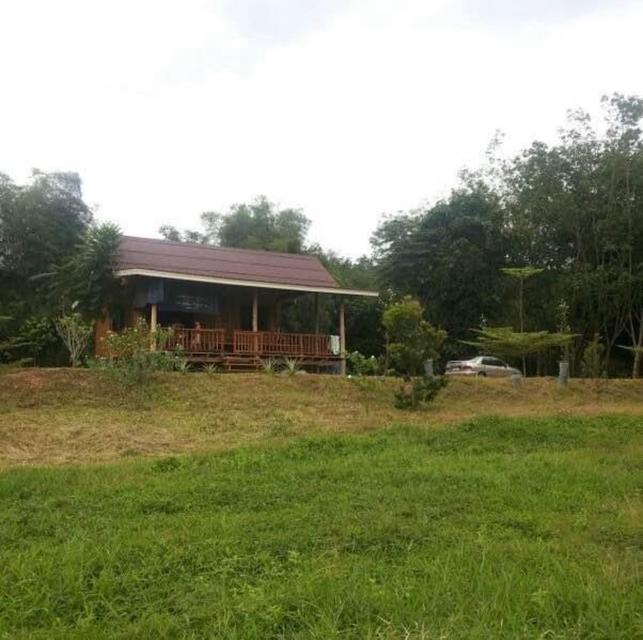 ขายที่ดินจังหวัดระยอง 11