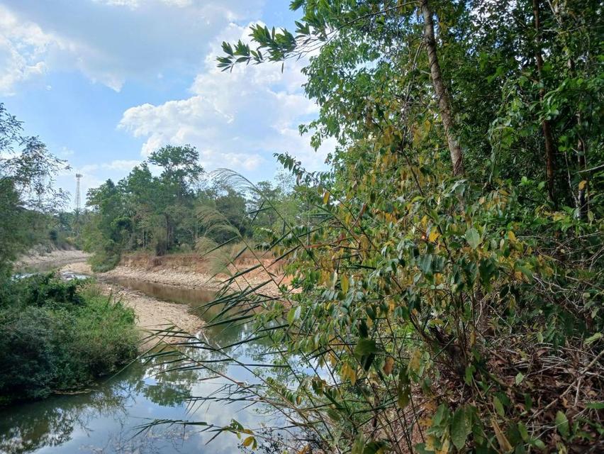 ขาย ที่ดิน เพชรเกษม ระนอง 43 ไร่ วิวเขา ติดน้ำ ติดถนนเพชรเกษม เมืองระนอง 4