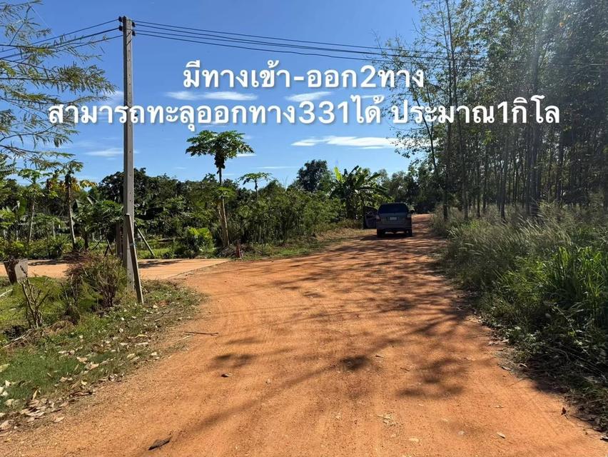 ขายที่ดิน เนื้อที่ 4ไร่ 2งาน 11วา หนองปรือ พนัสนิคม ชลบุรี 🏔️⛰️ สนใจติดต่อได้นะคะ 0958459574 โอ๊ต 9