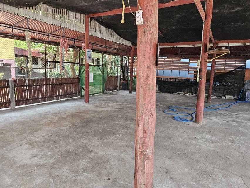 บ้านพร้อมที่ดินใจกลางเมืองหนองคาย 14