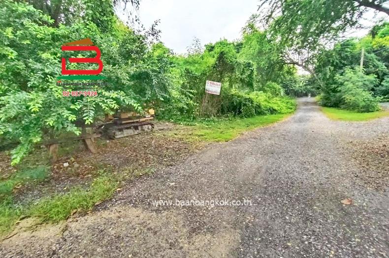 ที่ดินเปล่า ซอยบ้านพักคนชรา (ซอยร่วมสุข 4/19) เนื้อที่ 1-1-82 ไร่ ถนนติวานนท์ ตำบลบ้านใหม่ อำเภอเมืองปทุมธานี จังหวัดปทุมธานี 2