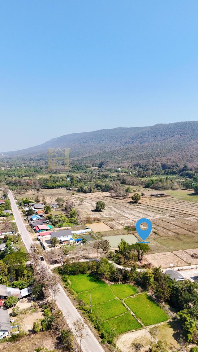 ขายที่ดินวิวภูเขา ตีนเขา โฉนดครุฑแดง ต.เวียงห้าว อ.พาน เชียงราย พื้นที่ 4-2-36.4 ไร่ 6