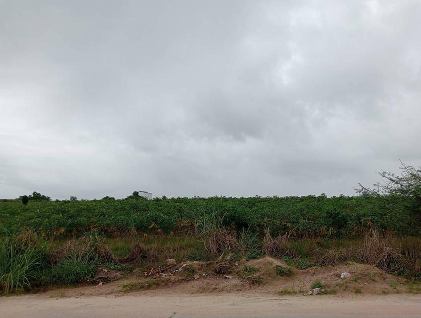 ขายที่ดินระยอง ปลวกแดง 5 ไร่ (พื้นที่สีม่วงลาย) ติดนิคมอุตสาหกรรม อมตะซิตี้ระยอง โซนจีน 2