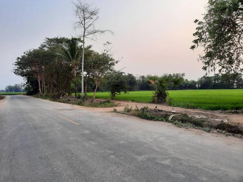 ขายที่ดินเกษตร 35ไร่ เศษ ถนนลาดยาง ติดคลองชลประทาน ห่างชุมชน ตลาดสด อบต.บ้านหม้อ 3กม. อ.พิชัย จ.อุตรดิตถ์ 1