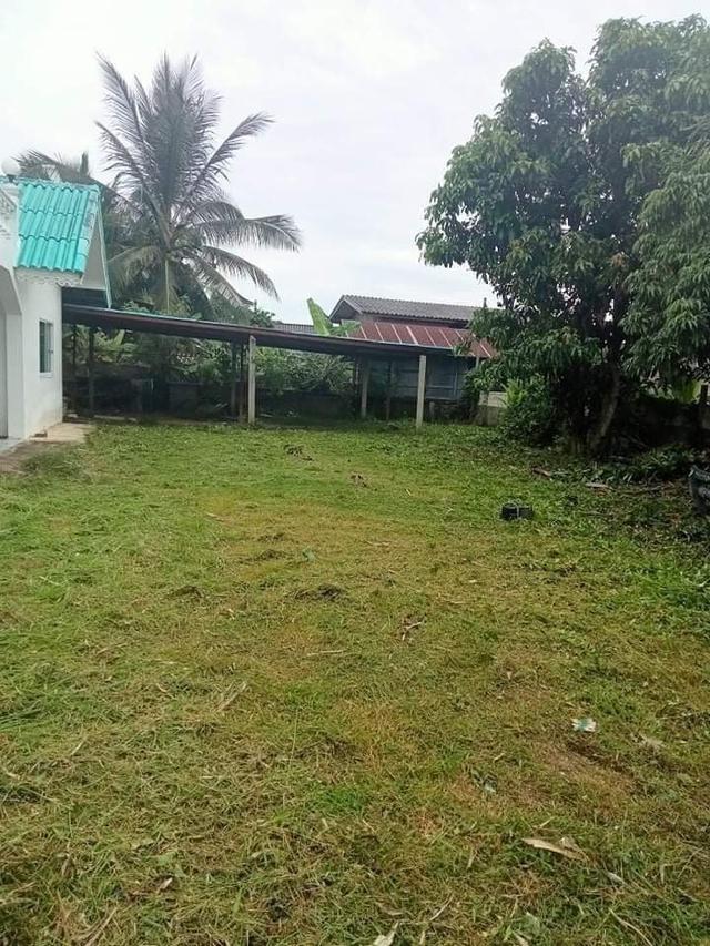 ขายบ้านเดี่ยว 2 ชั้น เนื้อที่ 159.1 ตรว. (ใกล้สถานีรถไฟป่าแดด) ซ.ทุ่งศรีทอง 3 ต.โรงช้าง อ.ป่าแดด จ.เชียงราย 4