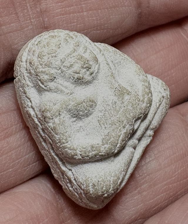 พระสังจจาย เนื้อผงไม่ทราบที่ 3