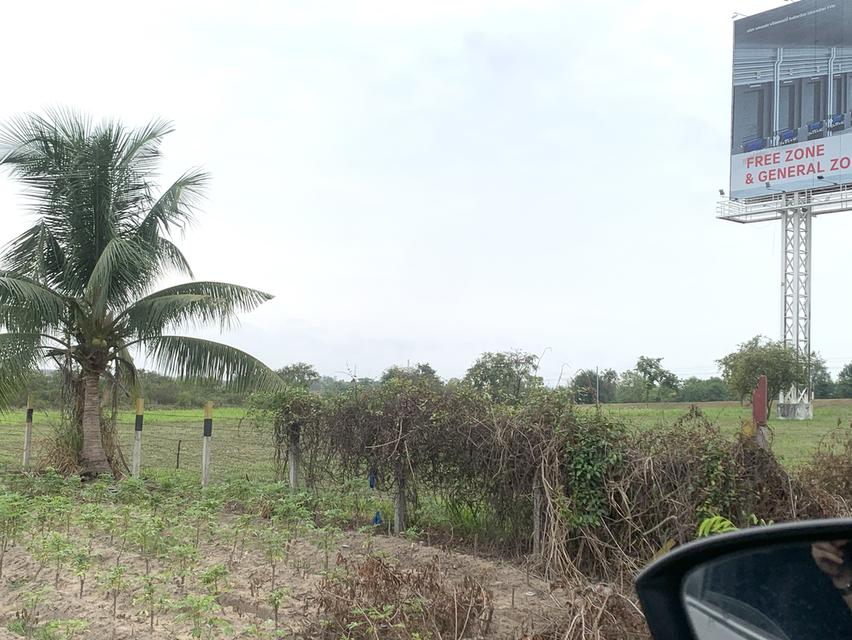 ขายที่ดินศรีราชาเนื้อที่ 30-1-43ไร่ ติดถนนมอเตอร์เวย์ กม.93ใกล้จุดพักรถ มอเตอร์เวย์ M7 ต.สุรศักดิ์ อ.ศรีราชา 4