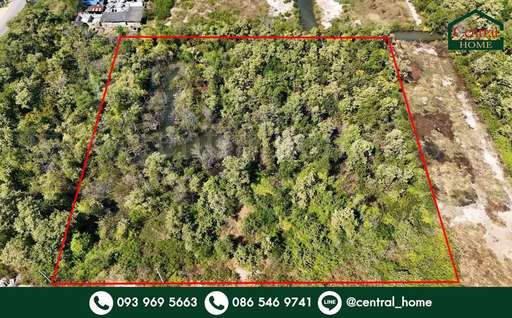 ที่ดินเปล่า 4 ไร่ แบ่งขายได้แปลงละ 1 ไร่ บางปะกง - ฉะเชิงเทรา ราคาถูก 1