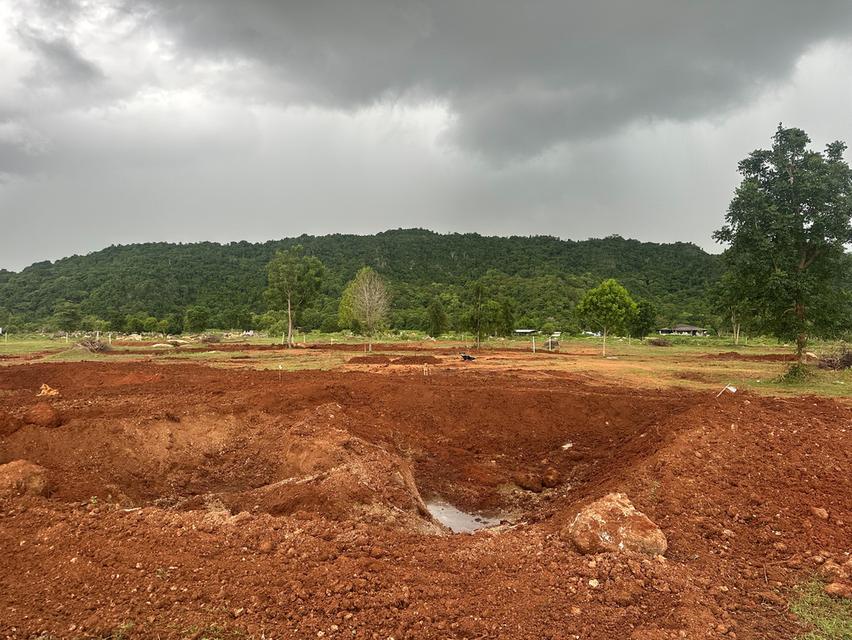 ที่ดิน เขาปากกว้าง โพธาราม ราชบุรี ขนาด 100 ตร.วา - 1 ไร่  12