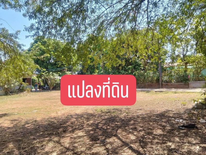 ที่ดิน 1 ไร่ 28 ตร.วบ้านนาสมดีอำเภอเมืองนครพนม 3