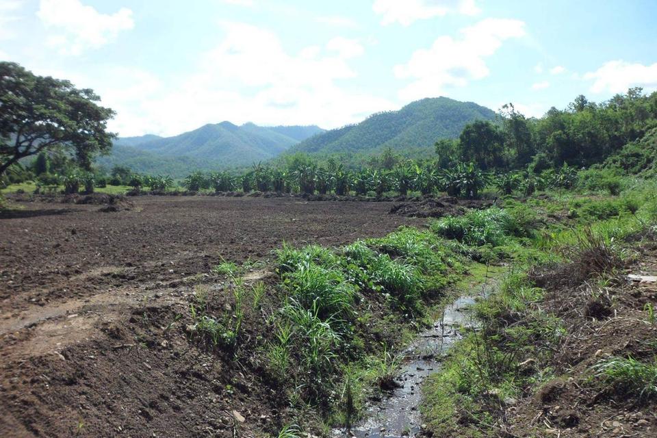 ขายที่ดินแปลงใหญ่ หาผู้ร่วมพัฒนา หาผู้ร่วมงาน ทำเลทองใกล้ Central Festival เชียงใหม่ 6 ไร่ 83.4 ตร.วา (2,483.4 ตร.วา) 2