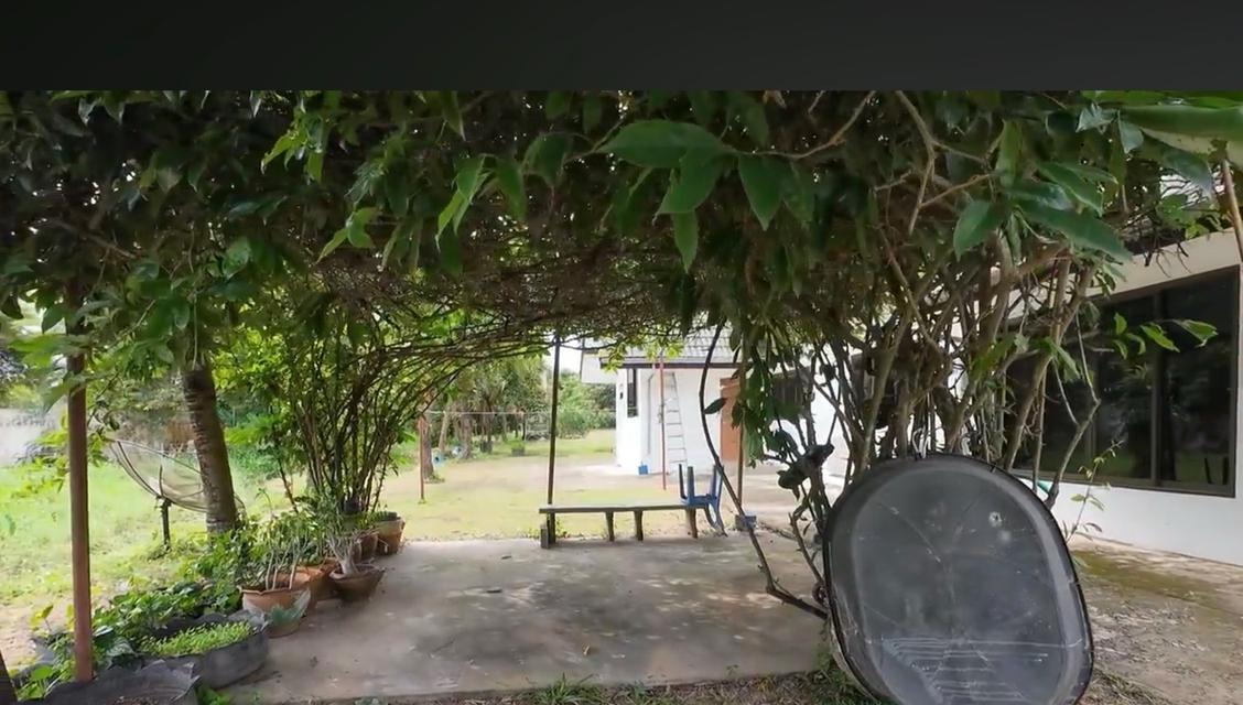 ขายบ้านโดยเจ้าของขายเอง บนที่ดิน 6 ไร่ที่เงียบสงบ วิวสวย พร้อมบ้าน 2 หลัง อยู่ใกล้อ่างเก็บน้ำลำแลาค่าว มีศาลาพักผ่อนและน้ำตก พร้อมสวนผลไม้หลากหลายชนิด 7