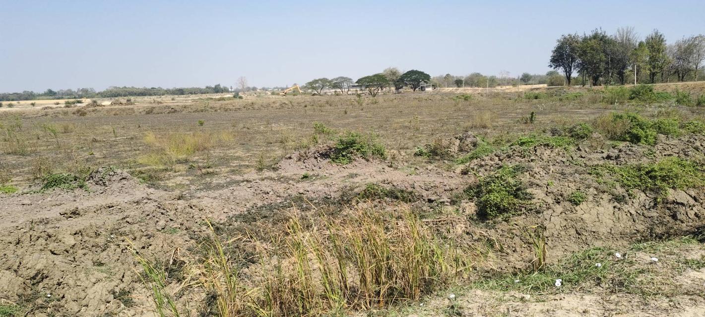 ขายที่ดินนครปฐม หนองดินแดง เนื้อที่14ไร่3งาน ที่ดินเป็นที่บ่อทราย 4