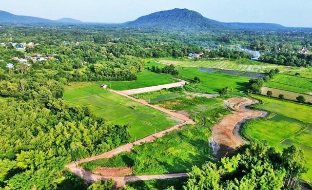 1 ขาย ที่ดิน ที่ดิน ปากพลี นครนายก นครนายก ปากพลี 1 ไร่ 400 ตร.วา ชั้นที่ 1 ใกล้กับ - 8