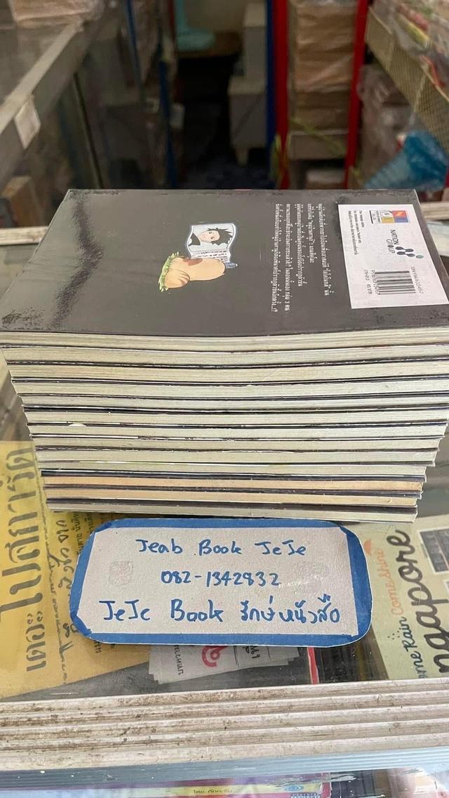 หนังสือการ์ตูน อุทสึโฮะ จอมกลคนร้อยเล่ห์ 1-13 (ตัดจบ เท่านี้ค่ะ) 8