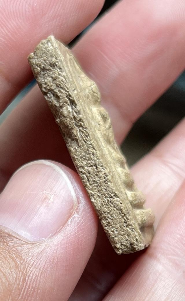 พระสมเด็จอกครุฑ