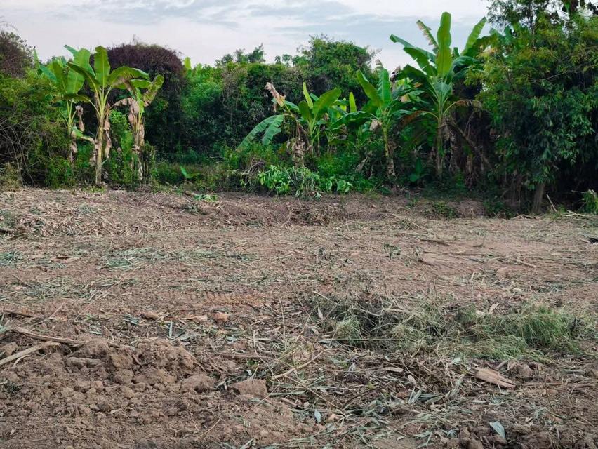 ขายที่ดินพร้อมตัวบ้านเก่า 3