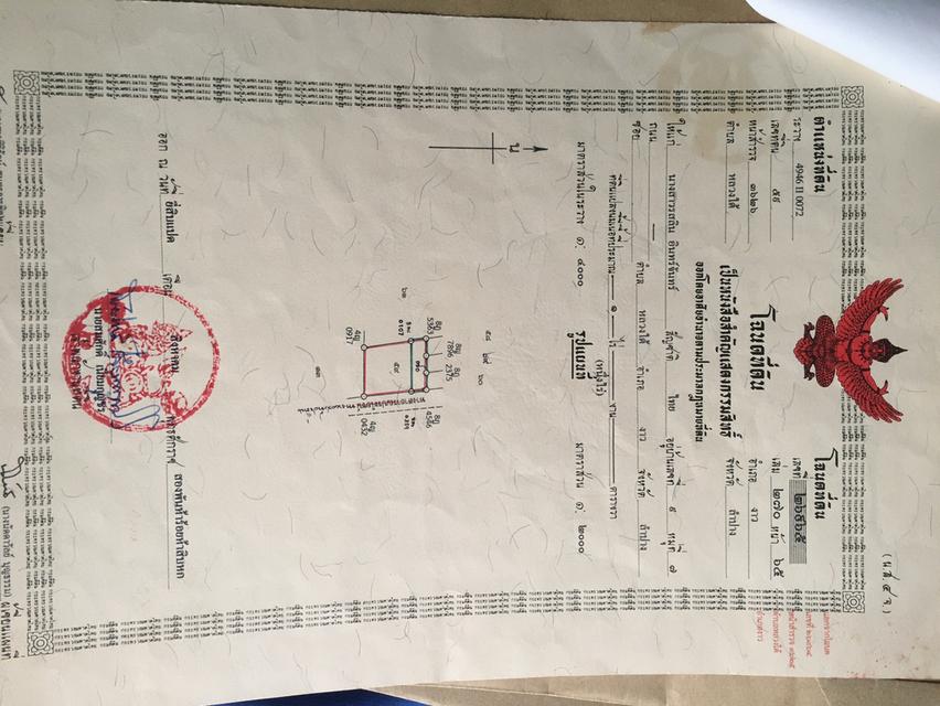 ที่ดินใกล้เส้นทางรถไฟความเร็วสูงสายใหม่เด่นชัยเชียงของพร้อมต้นสักอายุ 15-20 ปี 10