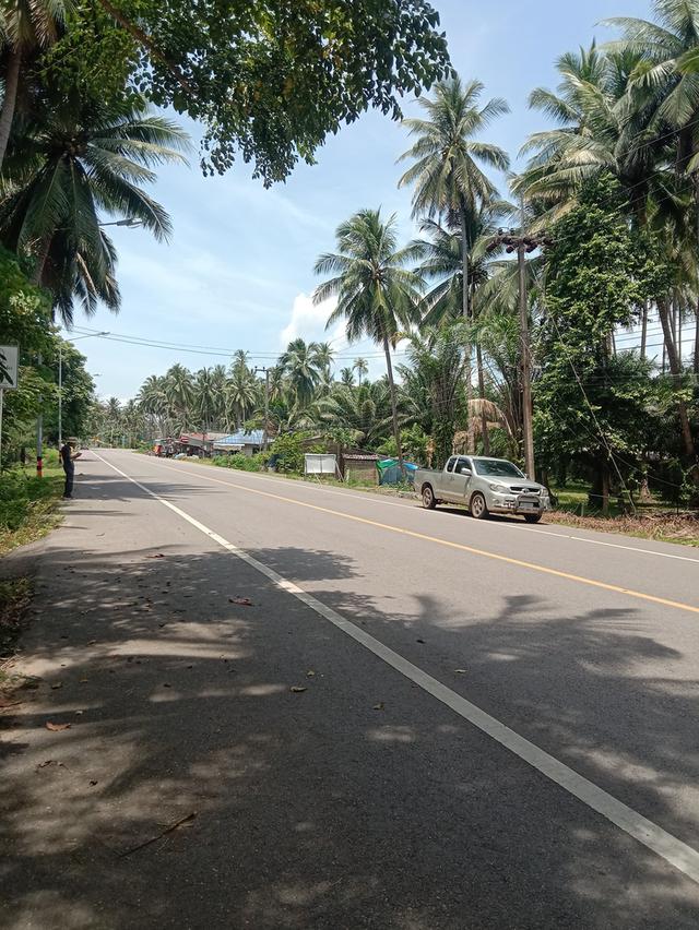 ขายที่ดินเลียบชายทะเลบางน้ำจืด อ.หลังสวน จ.ชุมพร 2