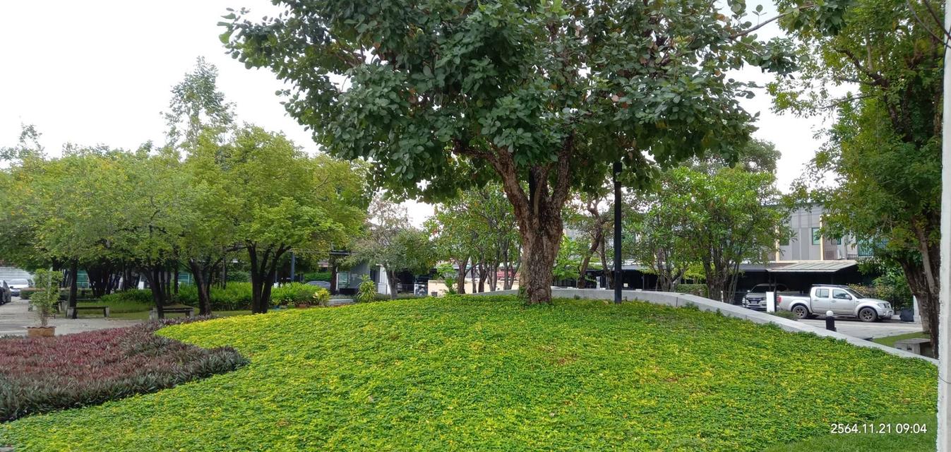 ขายบ้านทาวโฮม2ชั้น2ห้องนอน2ห้องน้ำ 18