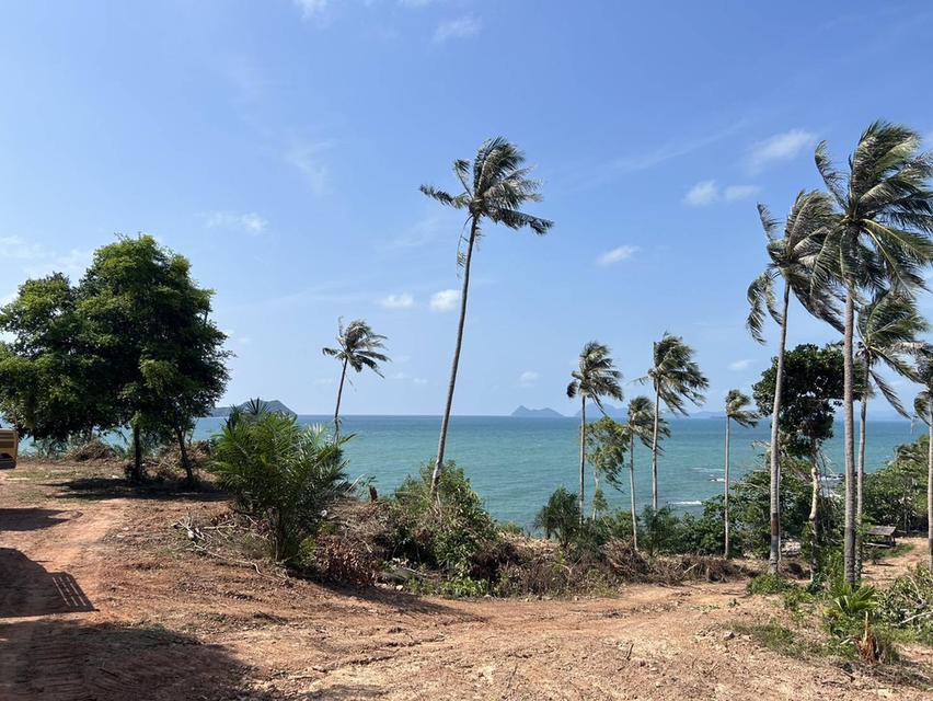 ที่ดินติดทะเลจังหวัดชุมพร 8