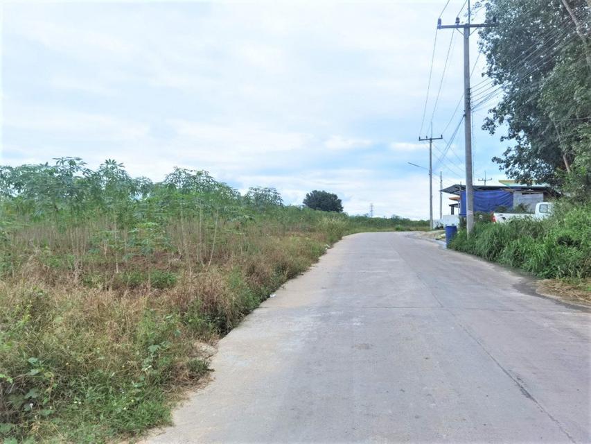 รูป ขาย ที่ดิน WF134 ผัง EEC สีม่วง ถูกที่สุดในย่านนี้ มาบยางพร ปลวกแดง ระยอง . 18 ไร่ 17.4 ตร.วา รูปแปลงสวย ไฟฟ้า 3 เฟส แยก 6