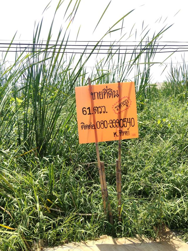 ที่ดินเปล่า61ตรว.อยู่ซ.ประสิทธ์4/2เข้าซ.200เมตรหน้าซ.ติดถนนบางบอน4เข้าได้2ทาง 1