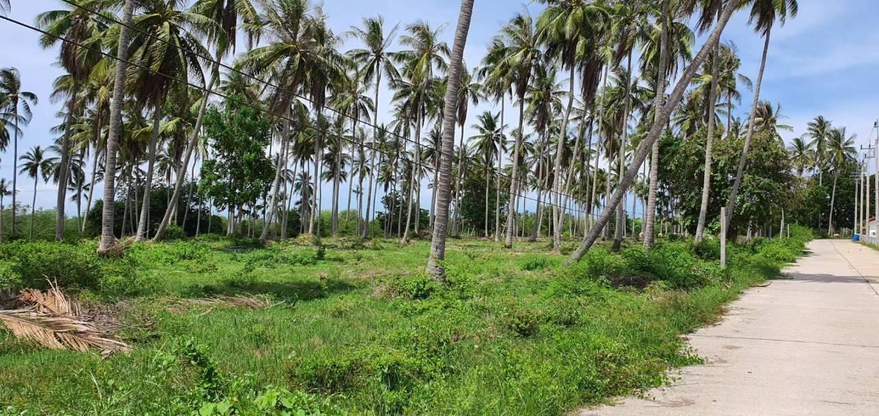 ขายที่ 259ไร่ ติดหาดทราย ทับสะแก ประจวบคีรีขันธ์ 6