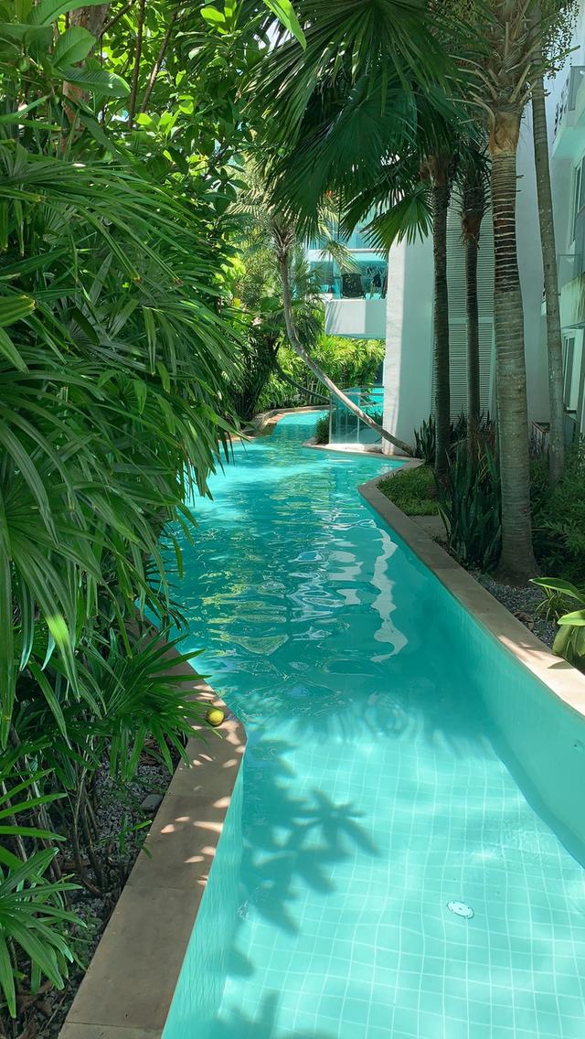 Condo Amazon Residence 8