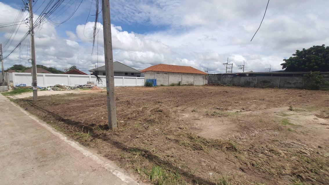 ขายที่ดินหนองปรือ พัทยา 224 ตรว. ถมแล้วซอยเขาตาโล11 ใกล้หาดจอมเทียน7กม. อ.บางละมุง ชลบุรี 3