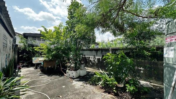บ้านเดี่ยว พร้อมที่ดิน 93 ตร.วา พหลโยธิน 52 ราคาถูก ทำเลดี 14