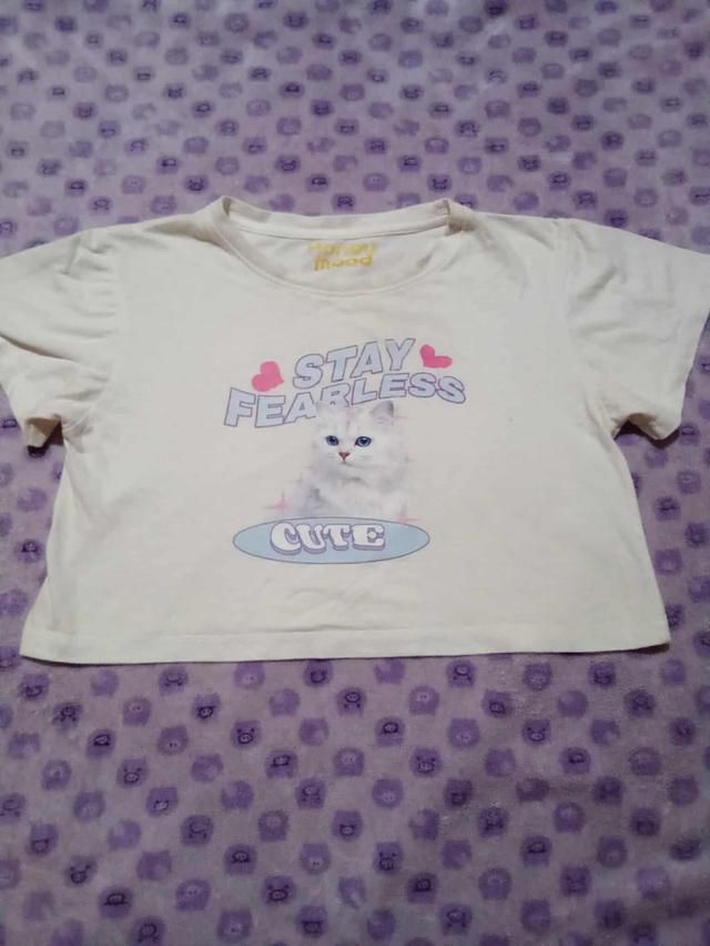 เสื้อครอปน่ารัก 2