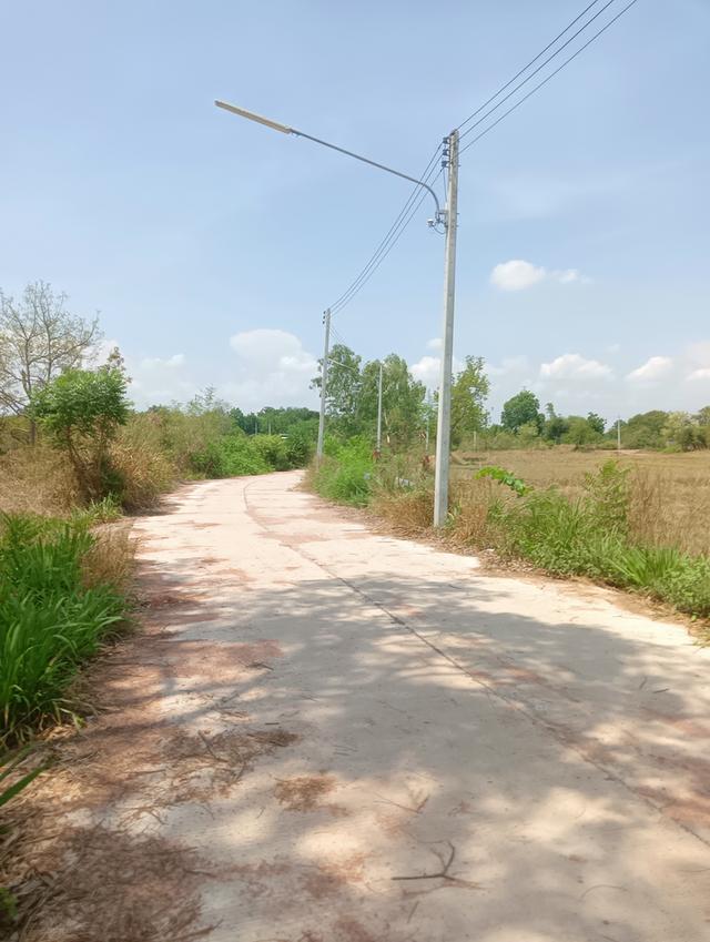 ที่ดินอสังหาริมทรัพย์ 6