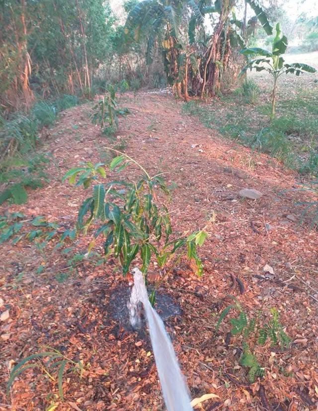 ที่ดินเปล่าวิวเขา ติดลำธาร จ.เพชรบูรณ์ 5
