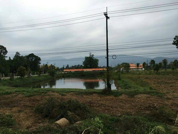 ขายที่ดินด่วนๆ ลดราคาอีกแล้ว 15 ไร่ ต.ไคสี เมืองบึงกาฬ อยู่ติด ถ.ชยางกูร และใกล้แหล่งท่องเที่ยว ติดทางเข้าวัดอาฮงศิลาวาส โทร 0632897879