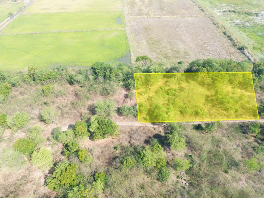 ขาย ที่ดิน ติดเทศบาล ติดเทศบาลโคกพุทรา 2 ไร่ อ่างทอง 1