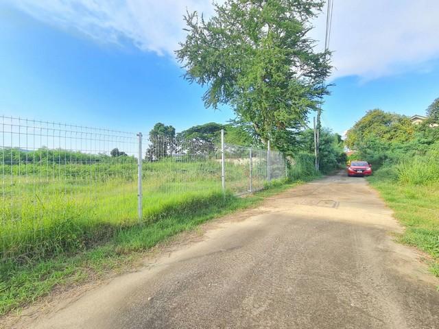 ขายที่ดินฝั่งทะเล บางเสร่ อยู่ในแหล่งชุมชน ใกล้สาธารณูปโภค ตลาด แหละท่องเที่ยว 6