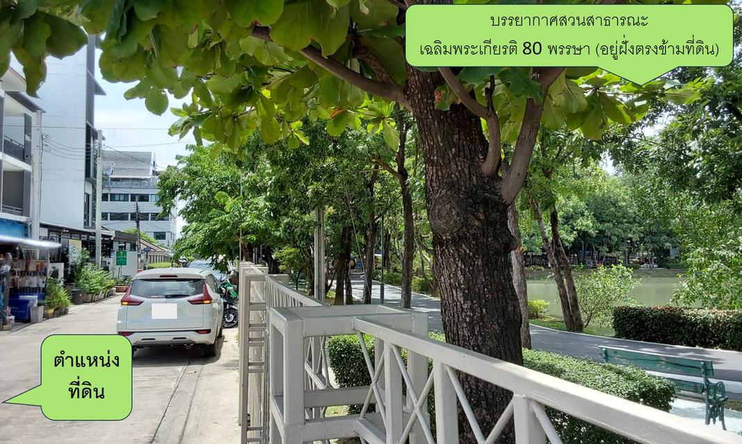 ที่ดินสวย 65 ตรว. งามวงศ์วาน 31 7