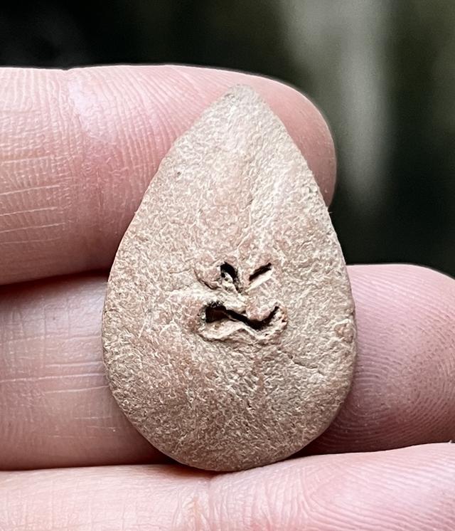 พระกลีบบัวหลวงปู่บุญ 2