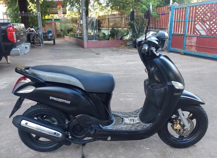 ฟีลาโน่ filano ฟีลาโน่