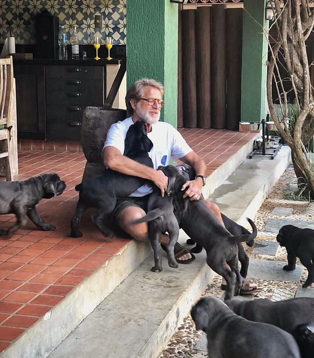 Cane Corso puppies Available For Sale