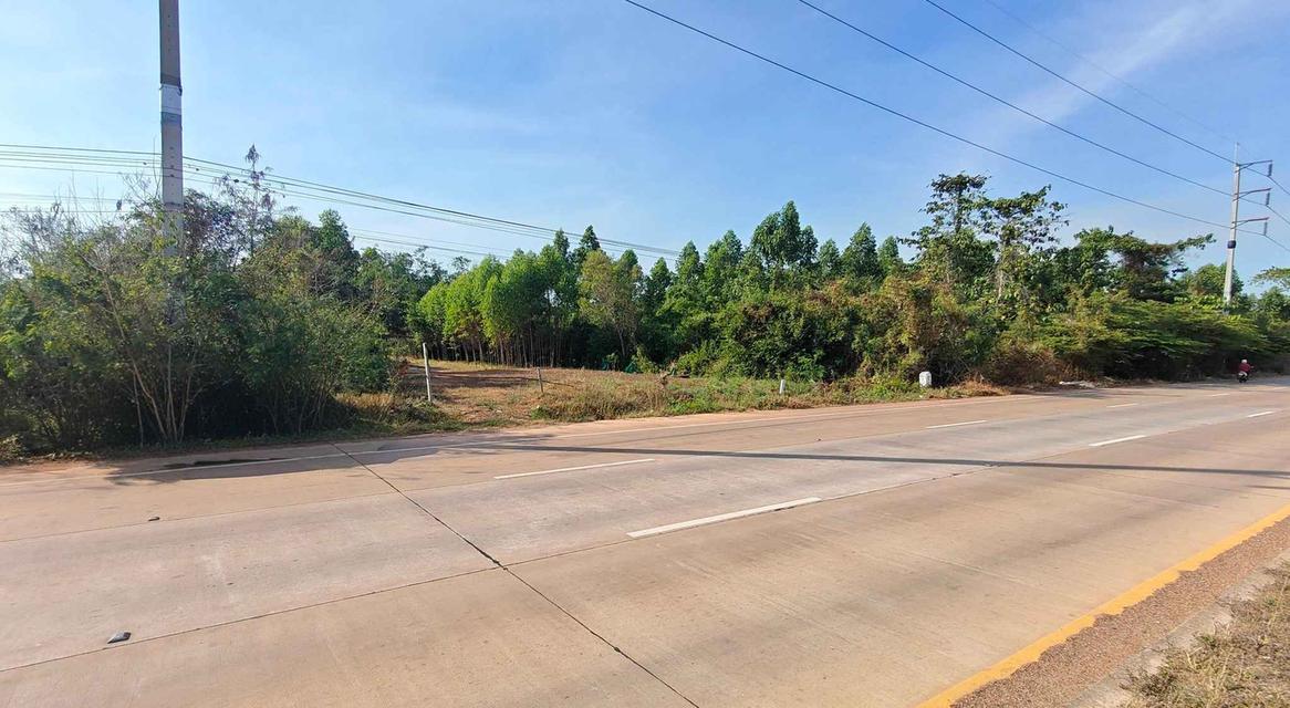 ขายที่ดินบ้านซ่องถมแล้ว 1 ไร่ ติดถนน6เลนเส้น319 ใกล้แยกพนมสารคาม-10กม. อ.พนมสารคาม ฉะเชิงเทรา 2