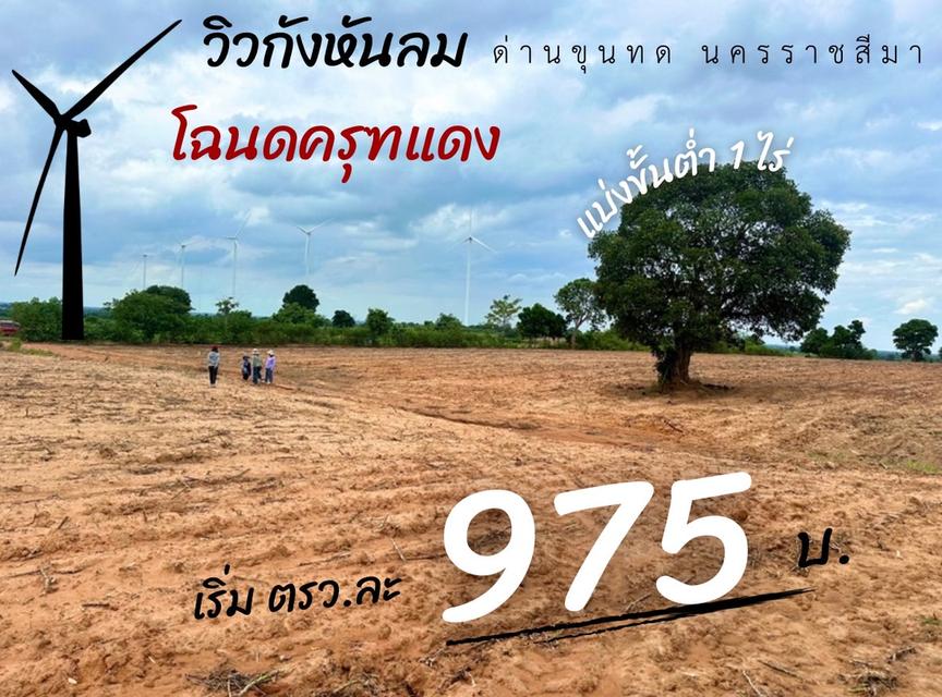 ที่ดิน ด่านขุนทด นครราชสีมา 3