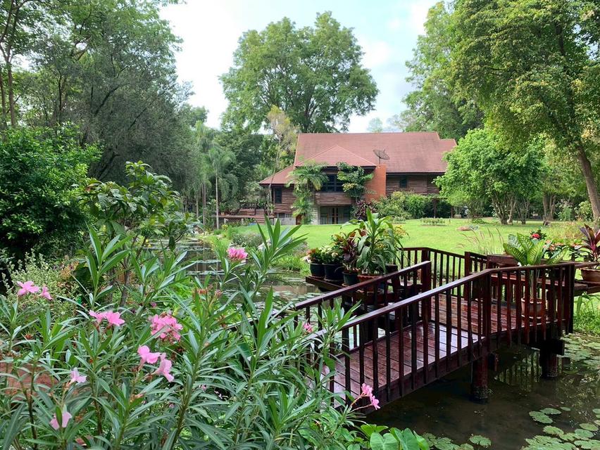 ขายที่ดินพร้อมสิ่งปลูกสร้าง บ้านไม้สักพร้อมสวน 20 ไร่ 2 งาน 59 ตร.ว. ทิศใต้ติดเนินเขา ชะอม แก่งคอย สระบุรี 1