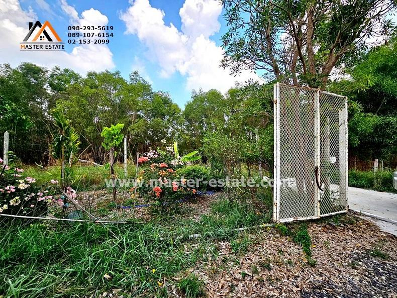 ที่ดินเปล่า 100 ตร.ว. หลักหก (ซอยเมืองเอก) พหลโยธิน 87 ที่ดินสวยทรงสี่เหลี่ยม เหมาะปลูกบ้าน อากาศดี ถนนคอนกรีต ปลูกต้นไม้หลายชนิด ราคาดีมาก 9