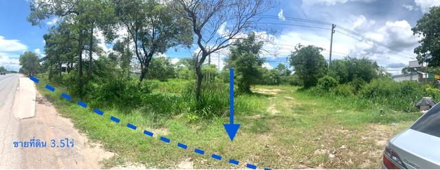 ขายที่ดินติดถนนบายพาสเลี่ยงเมือง(204)เนื้อที่ 3.5ไร่หน้ากว้าง95เมตร(แบ่งได้ 1ไร่/2ไร่)ที่ดินถมแล้วติดโครงการหมู่บ้านมัณฑนาบายพาส 1